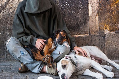 A Trento stop all'elemosina con i cani