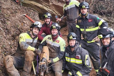 Cani caduti in buche: il salvataggio dei Vigili del fuoco
