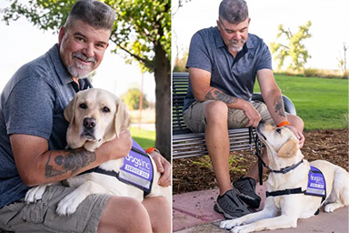 Salva il suo proprietario per ben due volte: Tommy, cane-eroe