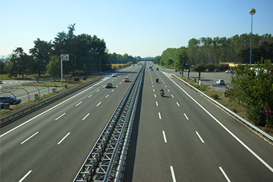 Cani scappano e vagano in A7: gli agenti della stradale li mettono in salvo