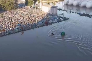 Si aggrappa a una montagna di bombole di gas e sopravvive alle inondazioni: la storia di Wilson