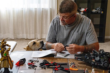 tommy e proprietario