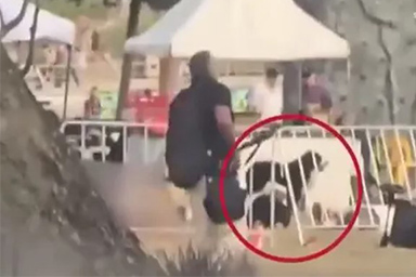 Attentato di Sydney: il cane Maui rimane al fianco del proprietario ucciso