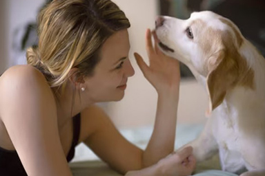 C'è un senso di comunità più forte in chi possiede un cane: lo rivela uno studio