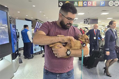 Dopo 5 anni e un viaggio di 1700 km riabbraccia la sua famiglia: la storia del cane Bella