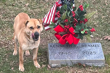 Ogni giorno visita la stessa tomba al cimitero: il mistero del cane Peanut
