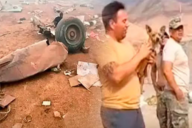 chihuahua sopravvissuto