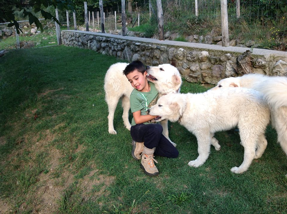 i guardiani del territorio