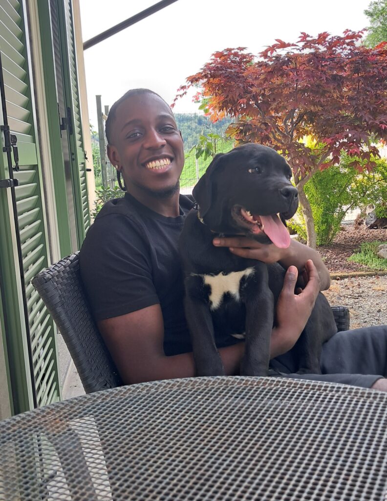 spettacolari cuccioli di Cane Corso