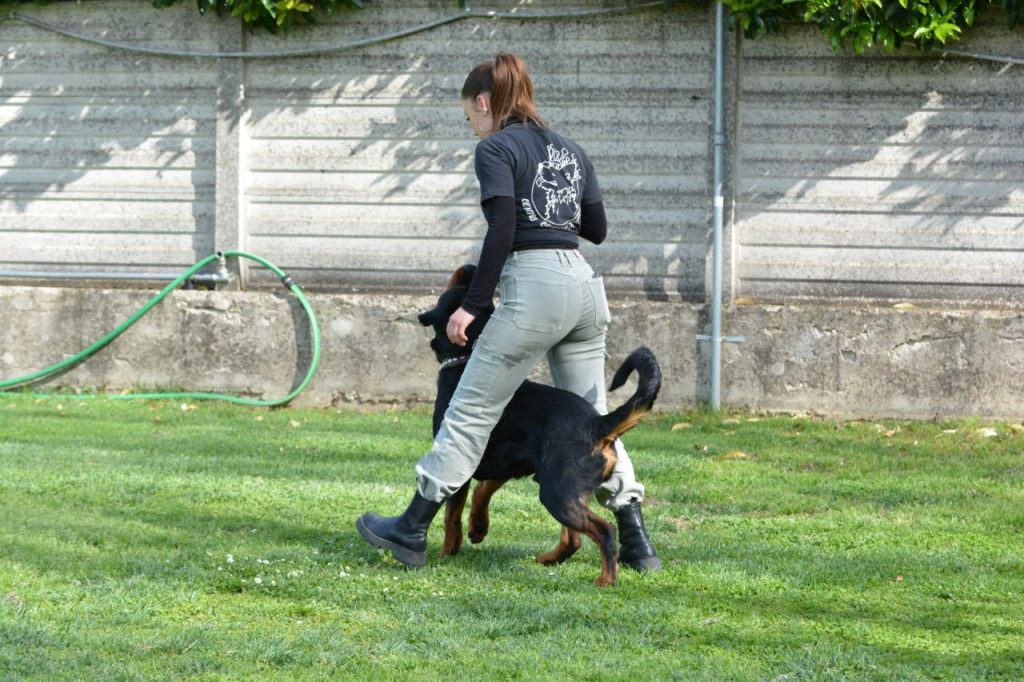 Valentina Nepa Educatore Cinofilo