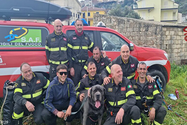 Precipita in una scarpata: cane Corso di 70 kg salvato dopo 4 giorni