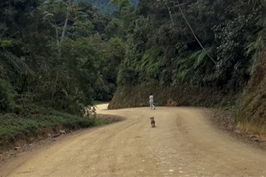 Il salvataggio della cagnolina Caxopa, abbandonata nel nulla