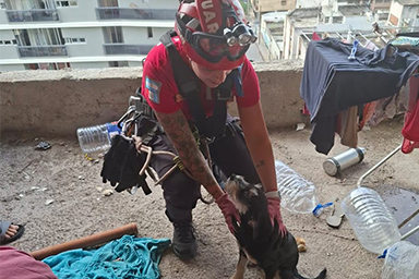 Sul bordo di un edificio abbandonato: il salvataggio del cane Tutuca