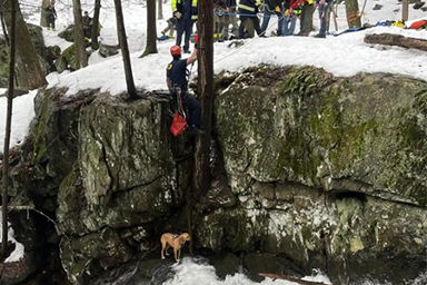 Cane rimane bloccato sul bordo di una cascata ghiacciato: salvato