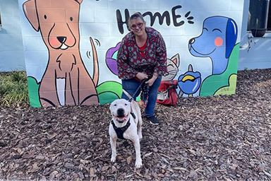 Ritrovato a 3.200 km di distanza, il cane Whiskey riabbraccia la famiglia dopo 5 anni