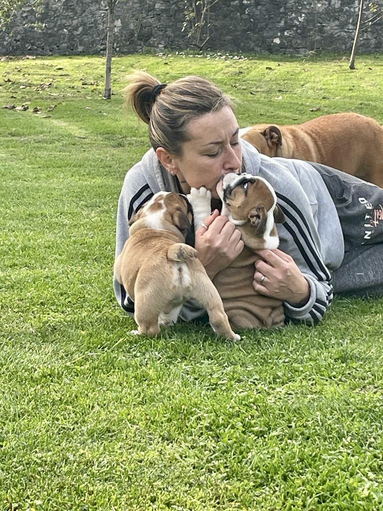 WARRIOR FROM LILLIPUT