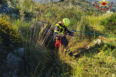 Vigili del fuoco salvano cane scivolato in un burrone
