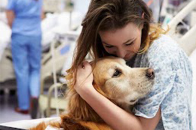 assistenza cane in Italia