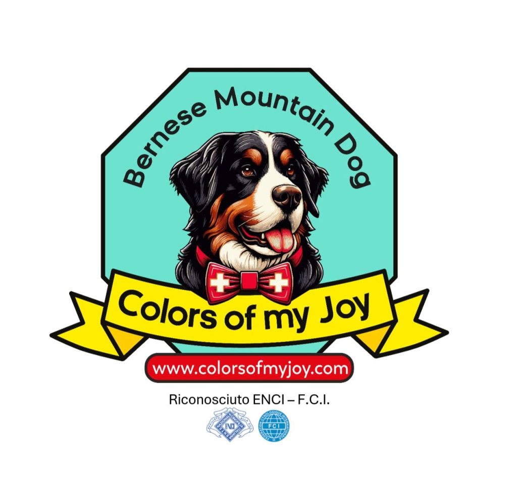 Allevamento Bovaro del Bernese COLORS OF MY JOY
