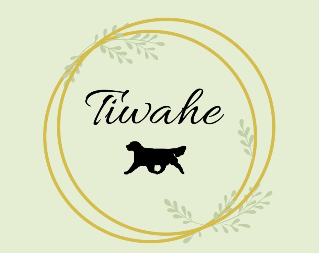 Tiwahe