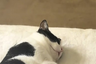Astro