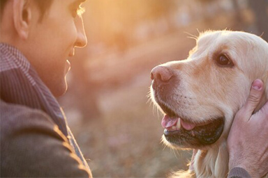 Convivere con Fido ha effetti positivi sulla salute mentale: lo dice uno studio