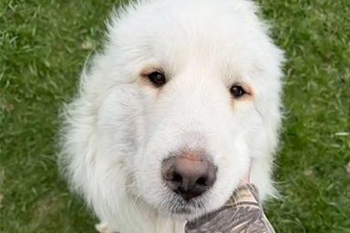 doug