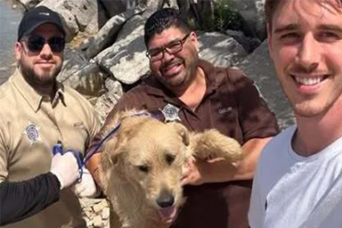 A pochi metri dal lago rimane intrappolato tra i massi, salvato cane senza nome