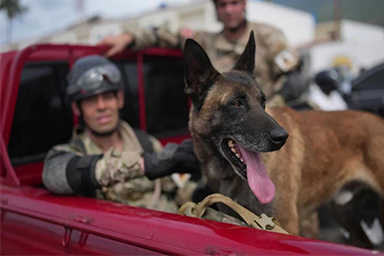 Venezuela, dopo 98 ore trovati due bimbi vivi grazie al cane Bart