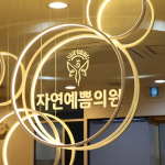 Natural Beauty Clinic | Advanced Aesthetic Care in Seoul