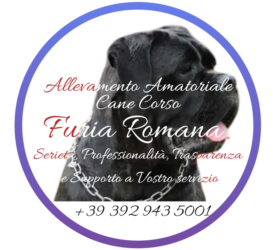 Allevamento Furia Romana