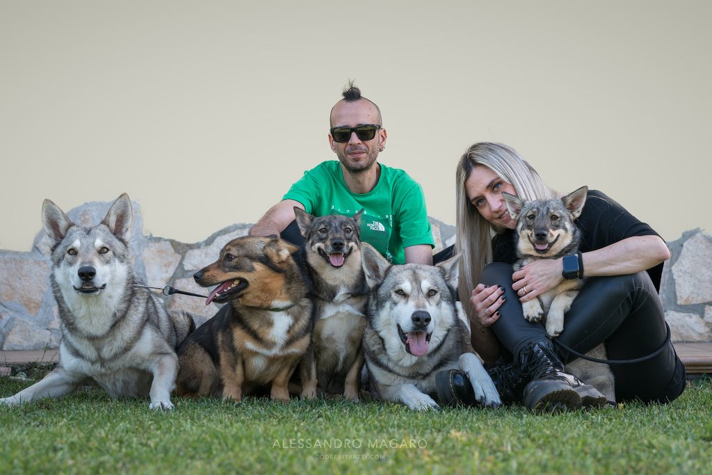 URBAN WOLF KENNEL