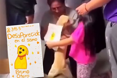 Colombia, bambina disegna il suo cane scomparso: Bruno viene ritrovato