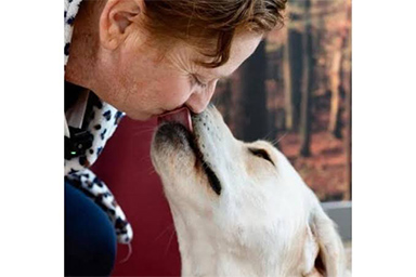 cane e proprietaria