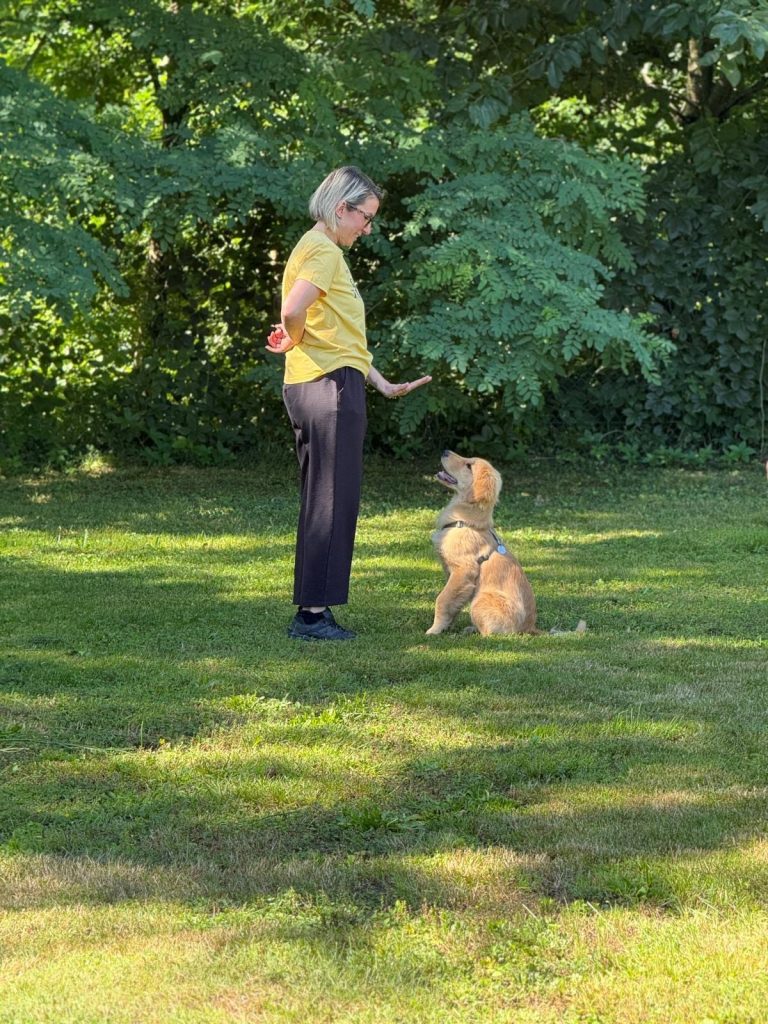 Oltre il Guinzaglio - Dog Academy ASD