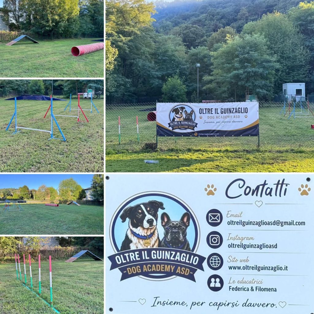 Oltre il Guinzaglio - Dog Academy ASD