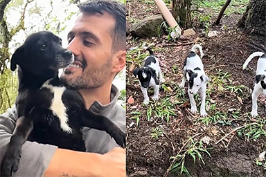Giornalista cerca il suo cane scomparso e ne salva altri sei
