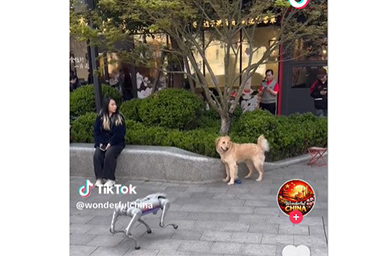 Cane vero incontra cane robot: il video esilarante