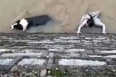 Donna lotta contro la corrente per salvare il suo cane: il video che commuove