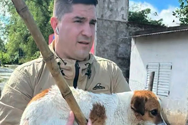 Salva cane trascinato dalla corrente: l'eroica impresa di un giornalista in diretta
