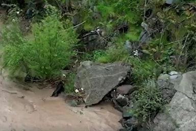 Viene trascinato più volte dalla corrente del fiume: l'incredibile disavventura del cane Morocho