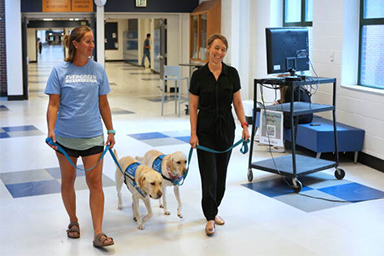 Dopo sparatoria, ogni mattina due cani da Pet therapy accolgono gli studenti