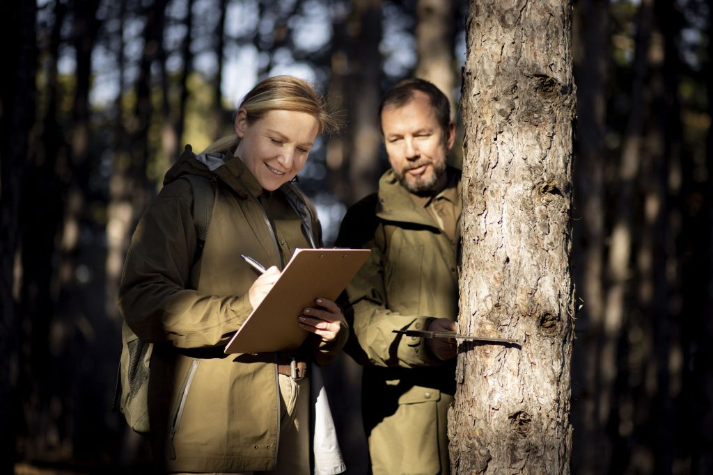 Vermont Timber Management Services